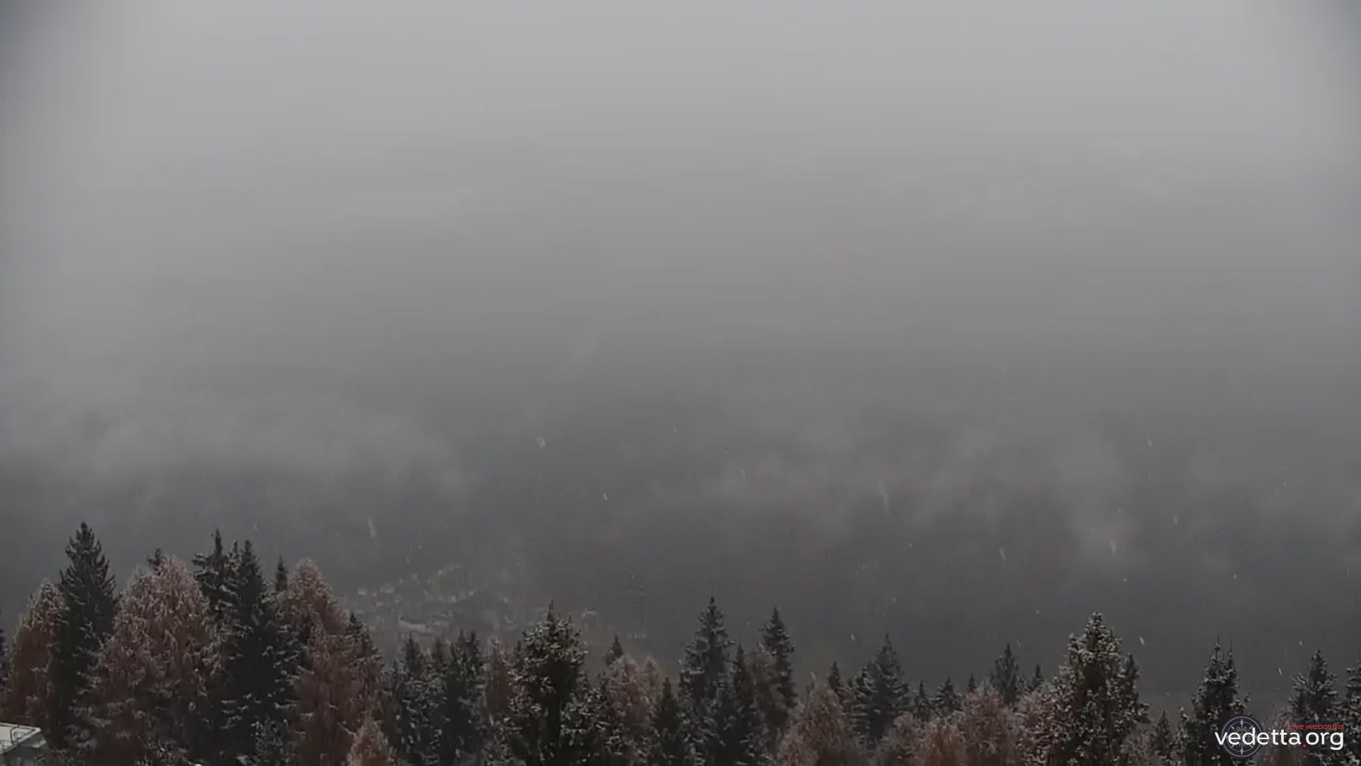 immagine della webcam nei dintorni di Vermiglio: webcam Marilleva