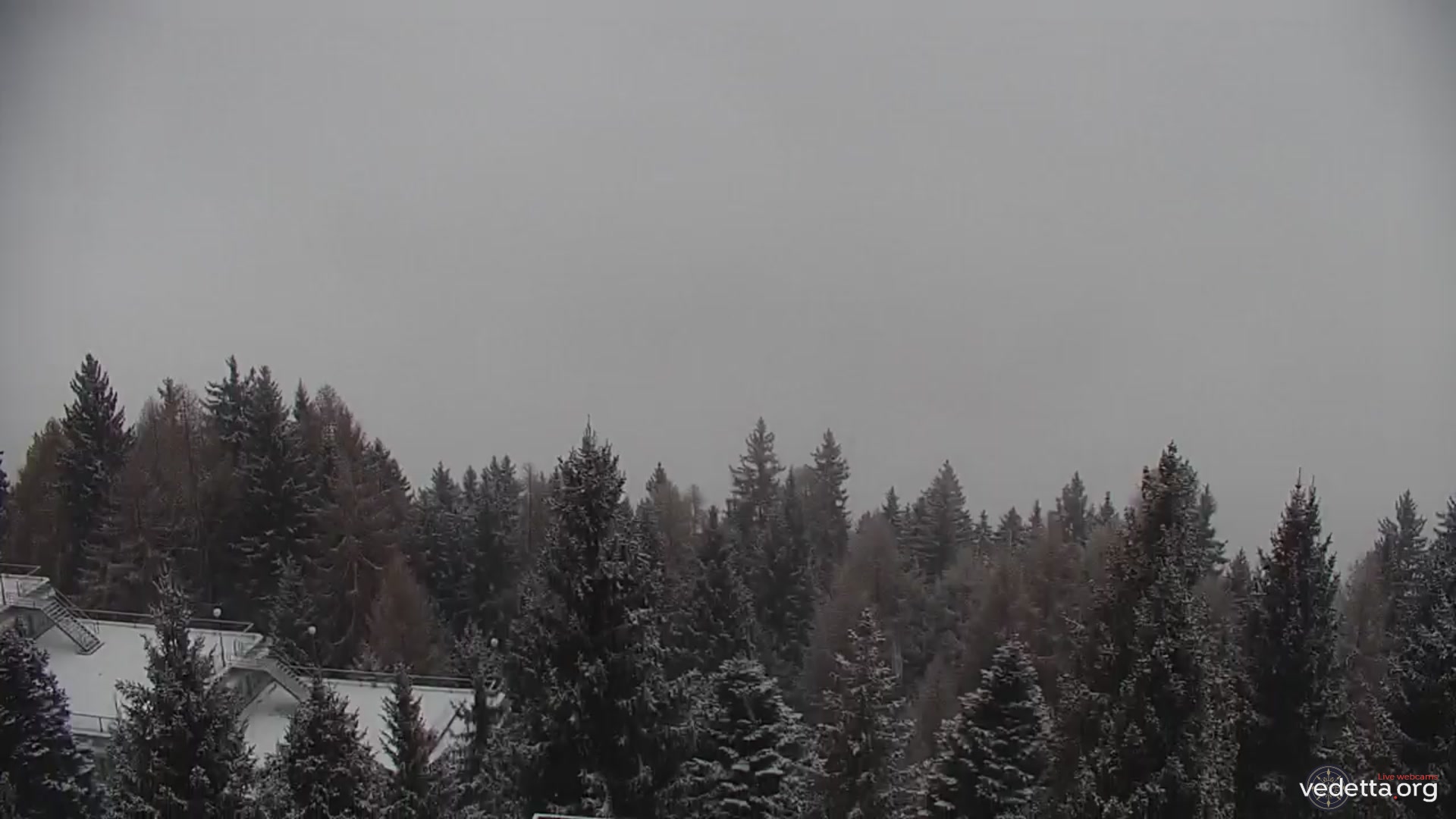 immagine della webcam nei dintorni di Carisolo: webcam Marilleva