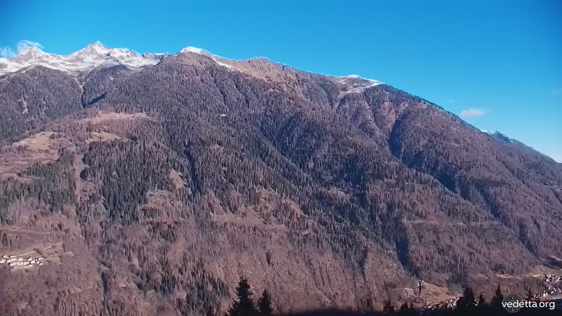 immagine della webcam nei dintorni di Mezzana: webcam Marilleva