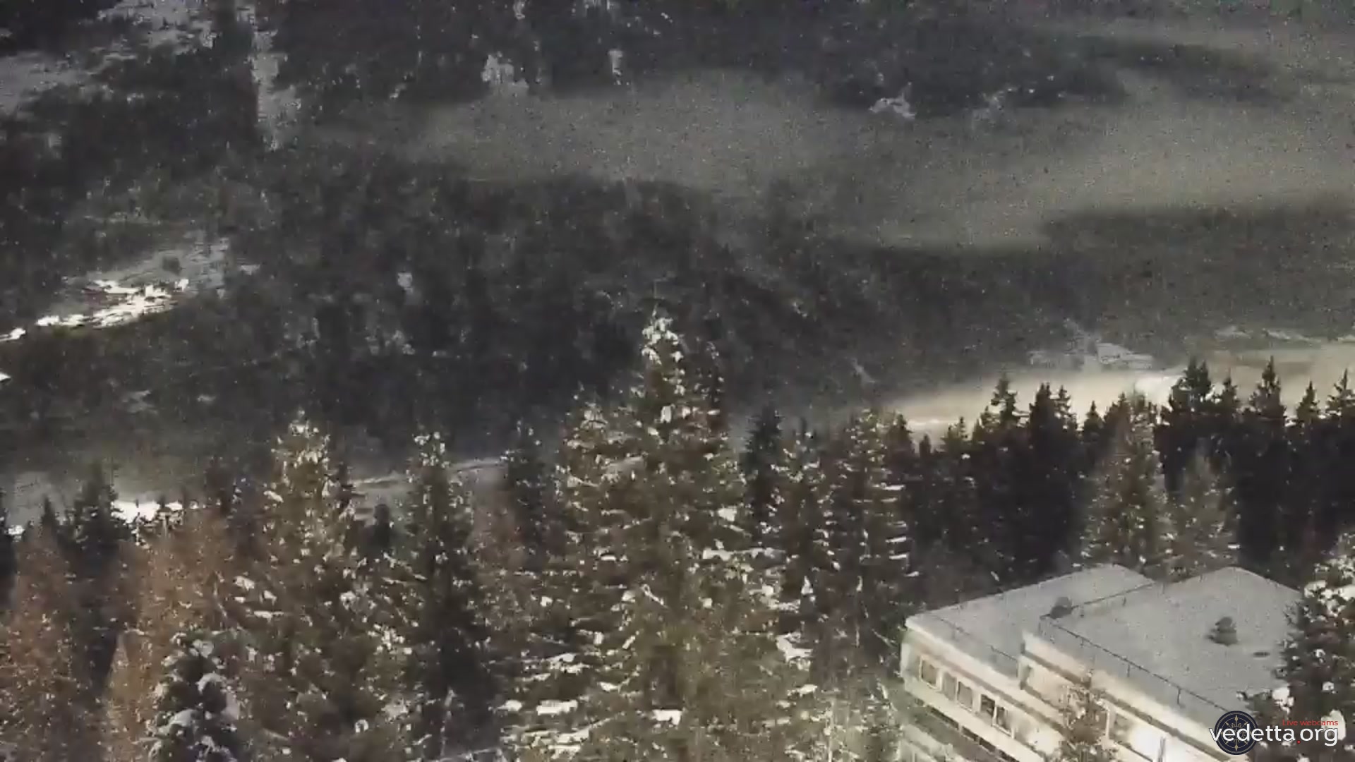 immagine della webcam nei dintorni di Dimaro Folgarida: webcam Marilleva