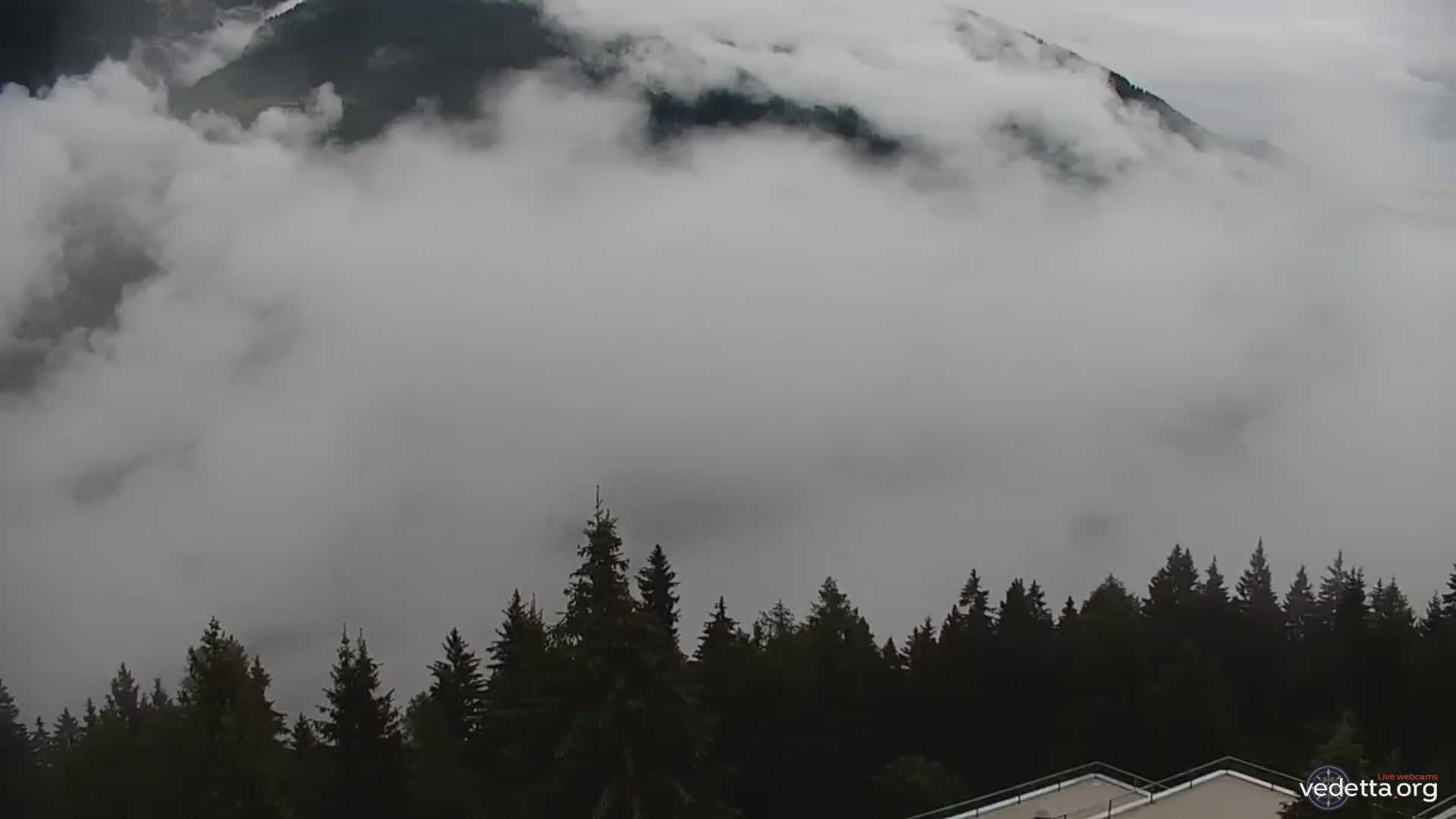 immagine della webcam nei dintorni di Cogolo: webcam Marilleva