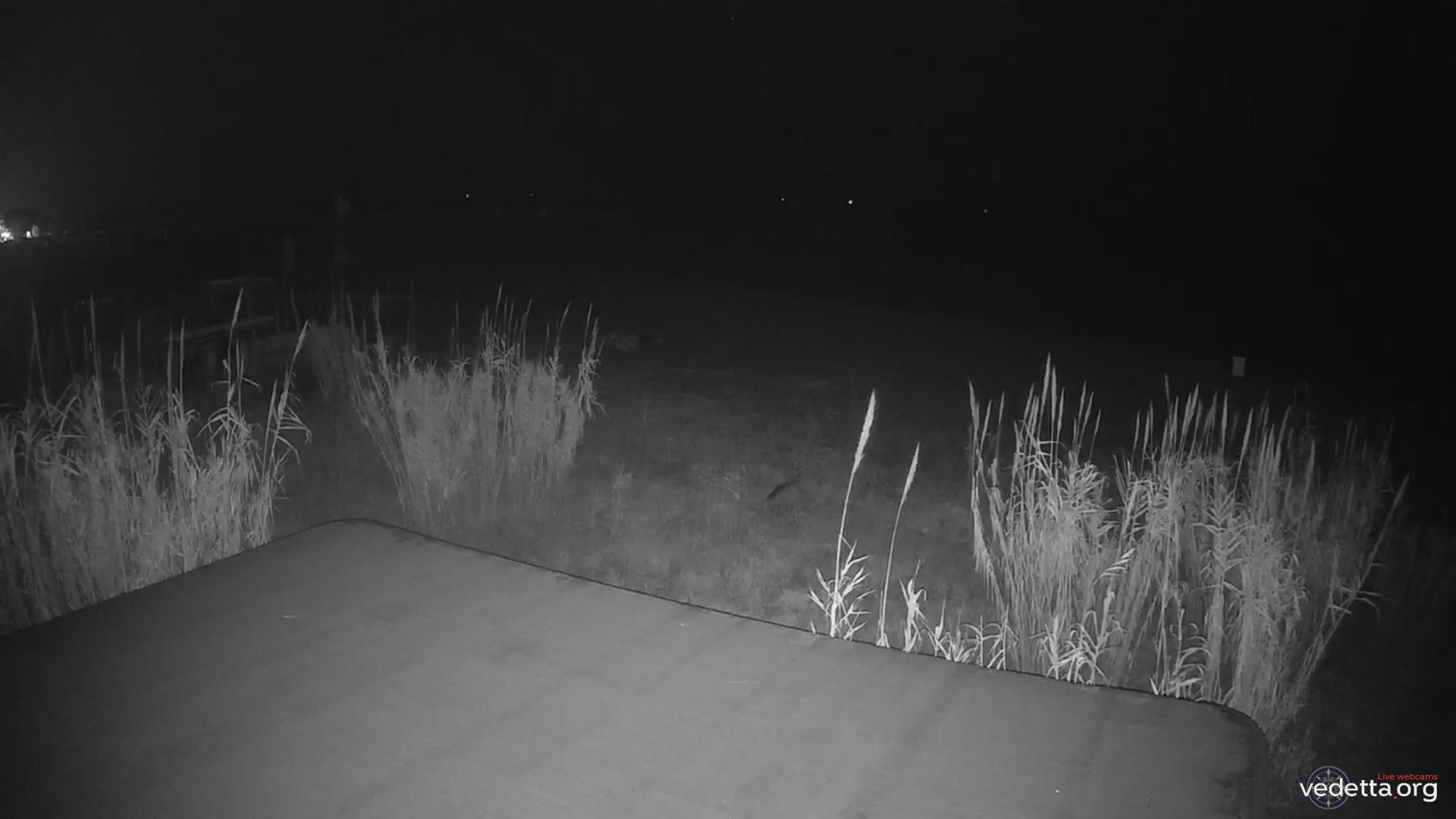 Webkamera - San Benedetto del Tronto