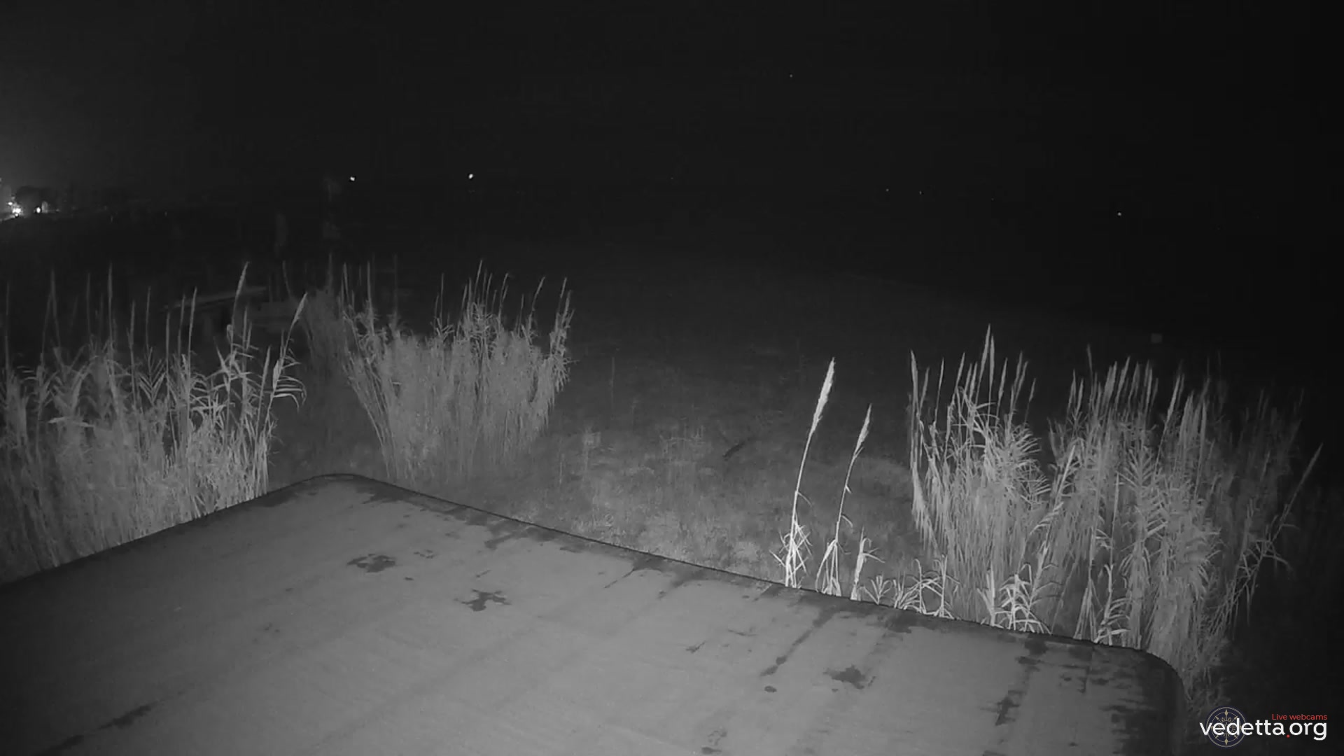 Webkamera - San Benedetto del Tronto